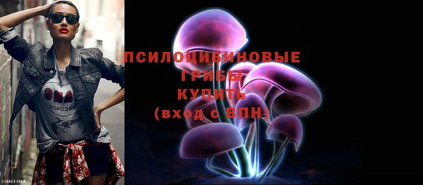 mdpv Верхний Тагил