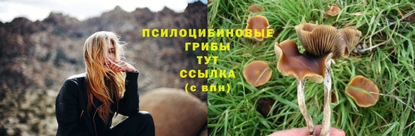 mdpv Верхний Тагил