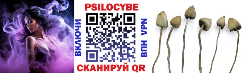 Псилоцибиновые грибы GOLDEN TEACHER купить наркотик Камызяк