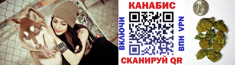 Шишки марихуана марихуана  Камызяк 